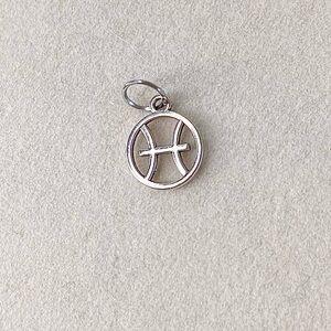 Silver Pisces Zodiac Charm